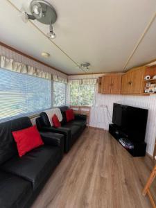 a living room with a black couch and a flat screen tv at The Cranagh in Coleraine