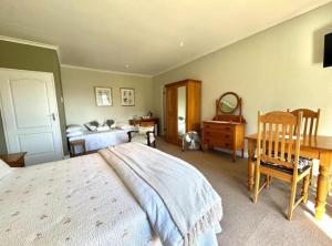 Un dormitorio con una cama, un escritorio y una mesa. en Amanzi Guesthouse, en Gqeberha