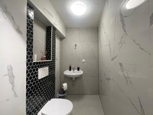 ein weißes Badezimmer mit Waschbecken und Toilette in der Unterkunft Burg Kapfenberg in Kapfenberg