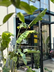 Photo de la galerie de l'établissement Ritson Hotel, à Vlorë