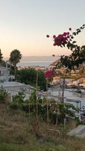 a view of a city from a hill with flowers at Casasvedese agriturismo in Marina