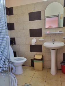 un bagno con lavandino, WC e specchio di Vila Roxana 2 Mai a 2 Mai