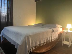 Voodi või voodid majutusasutuse Vila Timok toas
