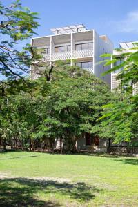 a building with a tree in front of it at Fabulous Loft With Pool in Cancún