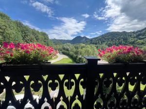 a view from a balcony with pink flowers at Willa FOLK Pieniny in Szczawnica