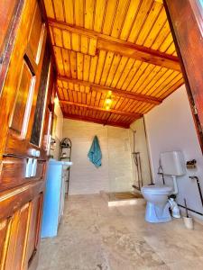 a bathroom with a toilet and a sink at Casa Șoimului - A-Frame in Caransebeş +64 photos