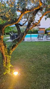 Bazén v ubytování Bed & Breakfast Bure Alto nebo v jeho okolí