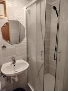 a bathroom with a sink and a shower at Domki " ELRINO " in Jastarnia