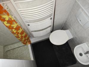 ein Badezimmer mit Toilette und Waschbecken in der Unterkunft U Anny in Háj ve Slezsku
