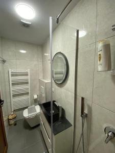 łazienka z prysznicem i toaletą oraz lustrem w obiekcie Gegest Hotel w mieście Theth