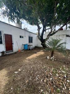 a tree in front of a white building at Casa climatizada Coatza in Coatzacoalcos