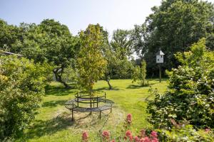 Κήπος έξω από το Poppy at Gorslwyd - Sound Retreat