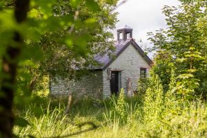 Κήπος έξω από το Poppy at Gorslwyd - Sound Retreat
