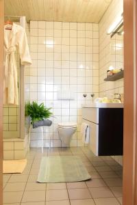 a bathroom with a toilet and a sink at Ferienwohnungen Im Löwengründle in Unterkirnach