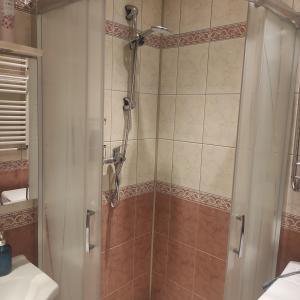 a shower with a glass door in a bathroom at Apartament z widokiem na góry in Ząbkowice Śląskie