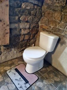 a bathroom with a white toilet in a stone wall at Suure-Jürna Puhkepesa in Kahutsi