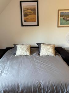 a bed with two pillows on it in a bedroom at Perfect quiet getaway in Digoin