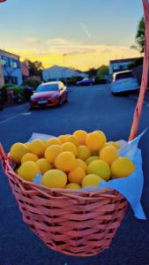 a basket of oranges sitting on the side of a street at Comfy and modern private room in Birmingham  +18 photos