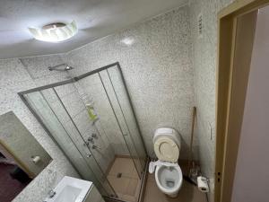 ein Badezimmer mit Dusche, Toilette und Waschbecken in der Unterkunft Departamento Centro - San Miguel De Tucumán in San Miguel de Tucumán + 32 Fotos