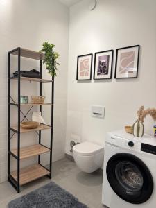 a bathroom with a toilet and a washing machine at Boho Loft Apartment am Ziegeltor in Amberg +34 photos