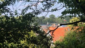 Naturlandskabet i nærheden af lejligheden