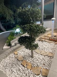 Κήπος έξω από το Hotel Toscano