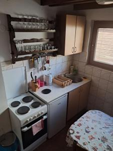 Kuchyň nebo kuchyňský kout v ubytování Planinska Kuća Dušan