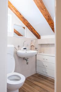a bathroom with a toilet and a sink at Villa Dora in Omiš centar now with Jacuzzi in Omiš +29 photos
