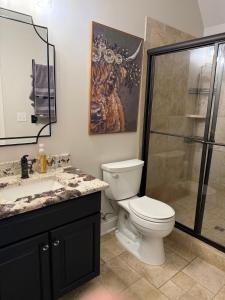 a bathroom with a toilet and a shower and a sink at Hidden Stables on Chancey Pond Rentals, LLC in Aiken