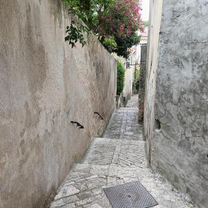 Φωτογραφία από το άλμπουμ του Casa Soraia nell'isola dei sogni σε Mali Lošinj