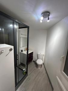 a bathroom with a toilet and a sink and a mirror at T2 élégant Parking privé inclus in Cavaillon +20 photos
