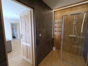 un bagno con doccia con porta in vetro di Apartament Kwiat Paproci a Gliczarów Górny Altre 12 foto