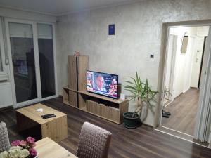 TV a/nebo společenská místnost v ubytování Centar 1