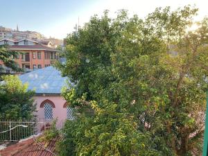 un grande albero di fronte a un edificio rosa di Balat Butik Hotel a Istanbul