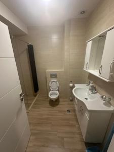 a small bathroom with a toilet and a sink at AB LUX Apartmani 406 in Sutomore +5 photos