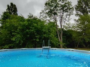 a swimming pool with a chair in front of trees at Graines de nature - Ecolodges Insolites in Saint-Eutrope-de-Born