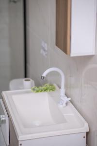 Gallery image of Pousada Selva Park in Penha