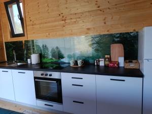 A cozinha ou kitchenette de Panorama Pool Hills