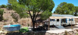 a house with a swimming pool and a tree at Into the wild in Alcoutim