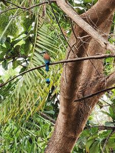 Fotografie z fotogalerie ubytování Welcome to paradise!Reserva Conchal, Solaris, C-1A v destinaci Playa Conchal + 101 fotografií