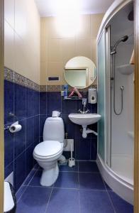 a bathroom with a toilet and a sink and a shower at RA Nevsky 44 in Saint Petersburg