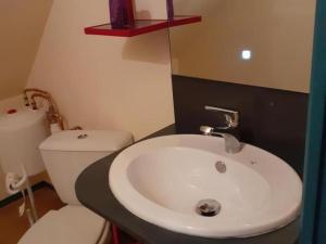 a bathroom with a white sink and a toilet at Charmante maison rénovée avec cour, proche bourg, WiFi, jardin clos, animaux acceptés, à Louchy-Montfand - FR-1-489-178 in Louchy-Montfand +15 photos