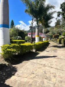 Zahrada ubytování Hospedaje Campestre Las Palmas 101