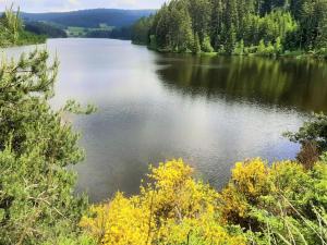 a view of a lake with trees in the background at Appartement PMR, balcon, cuisine équipée, WiFi, draps fournis - FR-1-496-228 in Saint-Genest-Malifaux