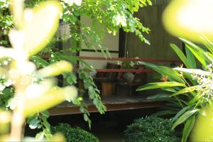 Ein Garten an der Unterkunft Cat Homestay