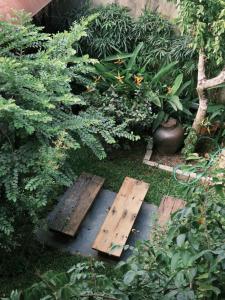 Ein Garten an der Unterkunft Cat Homestay