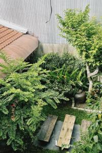 Ein Garten an der Unterkunft Cat Homestay