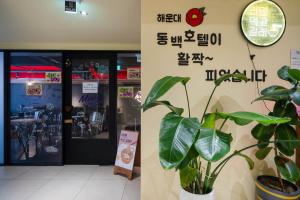 Fotografie z fotogalerie ubytování Haeundae Dongbeck Hotel v destinaci Pusan