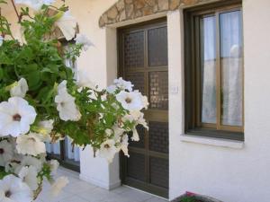 Fotografie z fotogalerie ubytování Marios Apartments v destinaci Perivolia