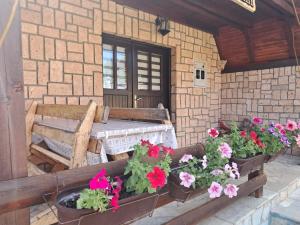 Fotografie z fotogalerie ubytování Planinska Kuća Dušan v destinaci Mitrovac